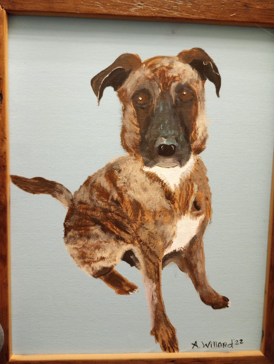 Acrylic painting of April's family dog, Chase. Painted at The Red House in Salem, CT.