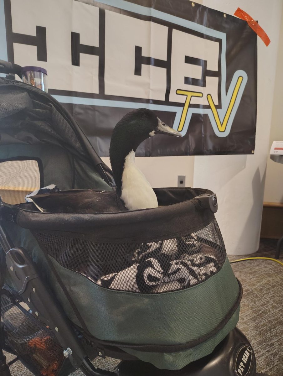 Marv the duck arrived in style to interact with attendees.